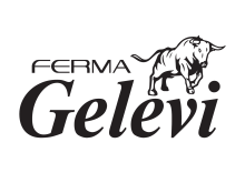 Gelevi